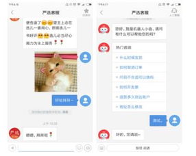 網易七魚智能客服 網絡技術服務背后的電商守護者